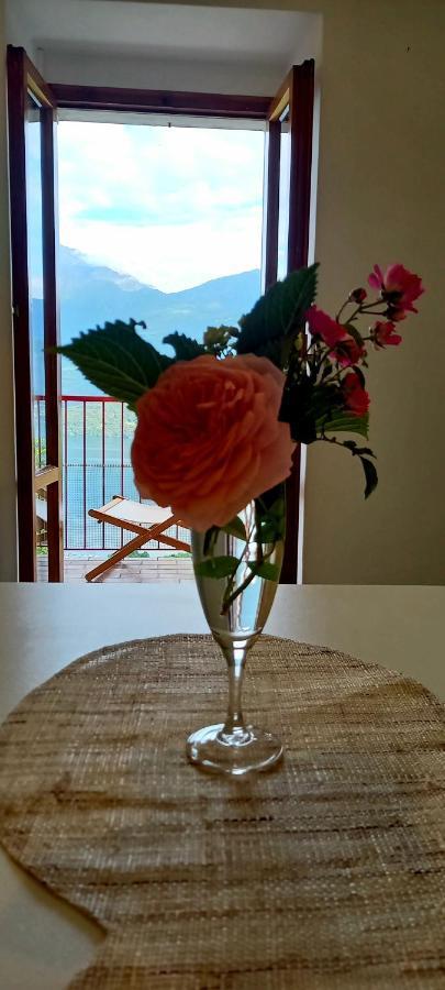 Viewtiful Homestay Stazzona ภายนอก รูปภาพ